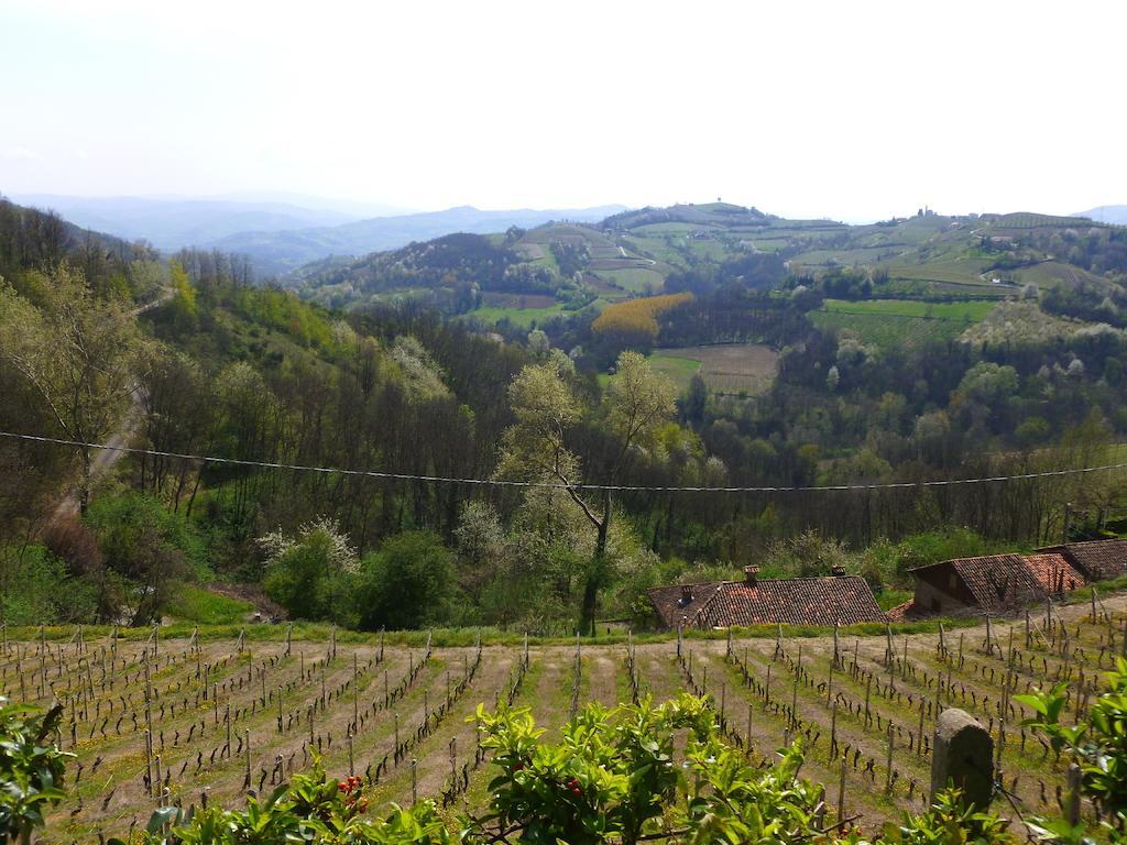 Bed And Breakfast Val D'Oche Castel Boglione Exterior photo